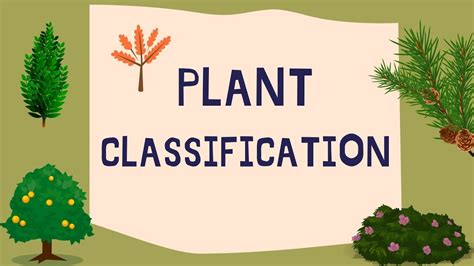 Plant Classification Youtube