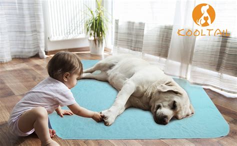 One day one pad, save more money. Amazon.com : KOOLTAIL Washable Pee Pads for Dogs ...