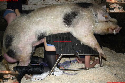 【閲覧注意】豚に人間の女性をレ プさせたらこうなる（画像） ポッカキット