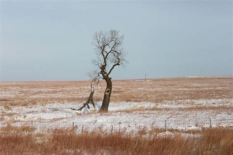Winter In Kansas Photograph By John Moyer Fine Art America