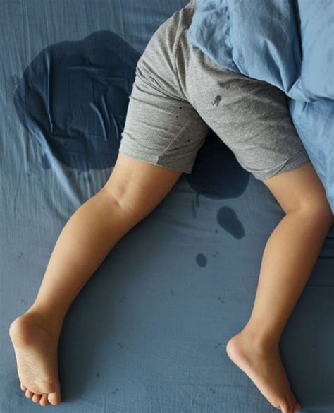 Bedwetting Enuresis Services Bayside Psychology And Hypnotherapy
