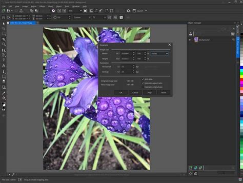 How To Resize An Image In Adobe Illustrator Faithgar