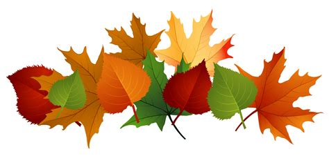 Beautiful Fall Leaves Clip Art For Your Autumn Projects