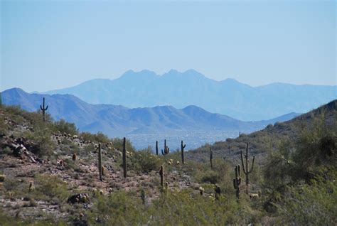 Phoenix Mountain Preserve All You Need To Know Before You Go