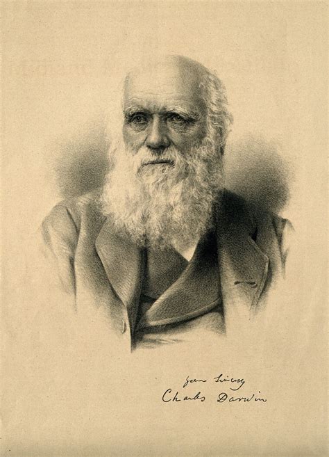 Charles Robert Darwin Lithograph Wellcome Collection