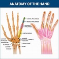 Rheumatoid Arthritis Of The Hand | Florida Orthopaeidic