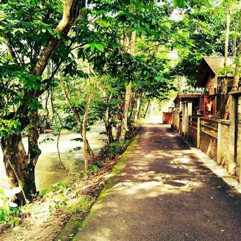 Selain penginapan penginapan di atas, ada juga beberapa alternatif penginapan lainnya di garut, seperti nikmati liburan dengan nyaman. Resort Depan Sungai Ni Antara Yang Murah di Janda Baik ...