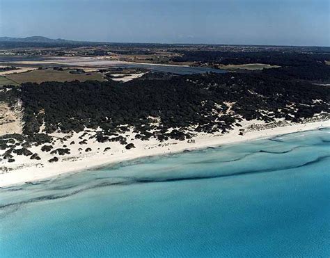 Playa De Es Trenc Federaci N Espa Ola De Naturismo