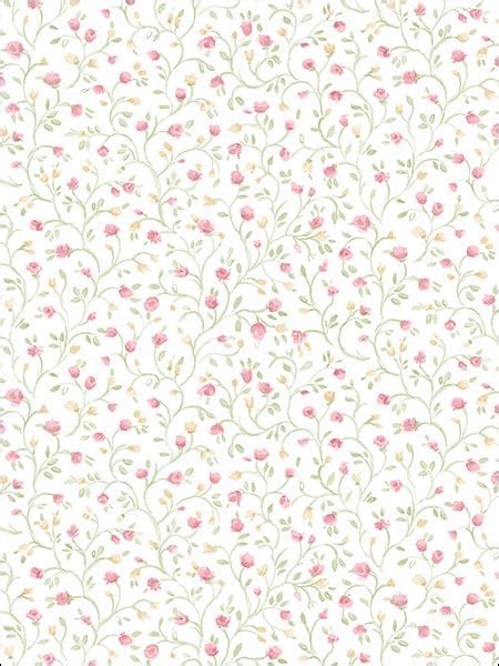 Floral Trail Wallpaper Pp35537 By Norwall Wallpaper
