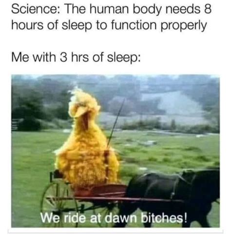 50 Funny Big Bird Memes That Will Make You Laugh