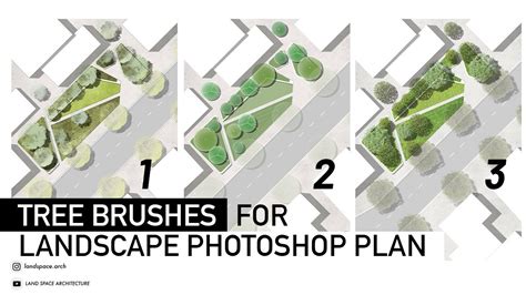 How To Draw Trees On Landscape Plan Rendering In Photoshop Youtube