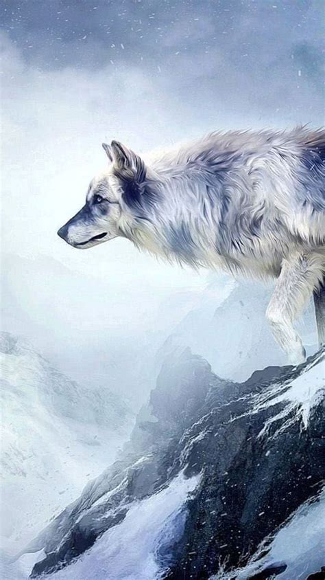 Wolf Wallpapers Vertical Free Download