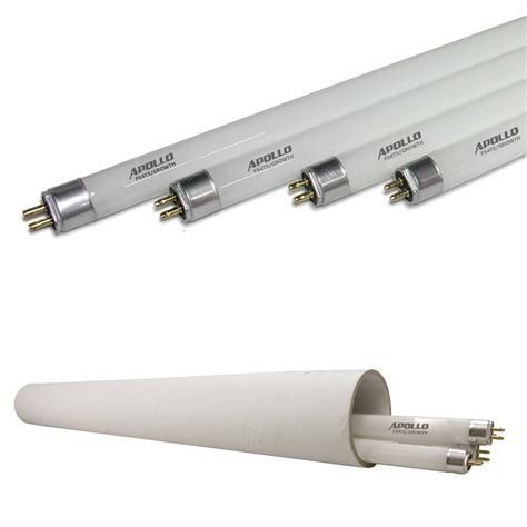 20% more light intensity than comparable fluorescent grow lights. Best 4 feet 6,500K bulbs | T5 grow light fixtures