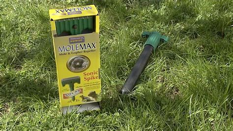 How To Get Rid Of Moles And Voles Cool Tools Housesmarts Episode