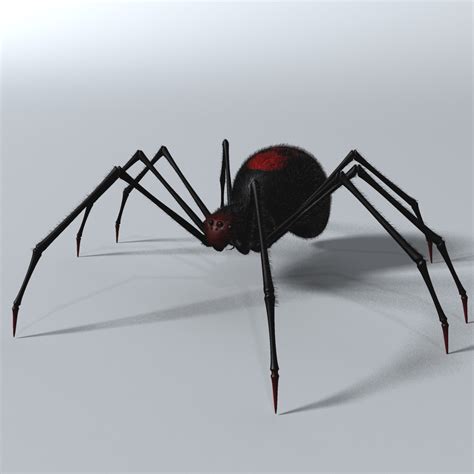 Black Spider Rigged 3d Model Buy Black Spider Rigged 3d Model