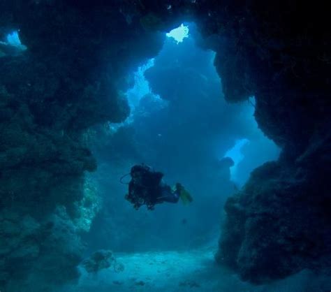 Palancar Caves Scuba Diving Quotes Best Scuba Diving Cave Diving