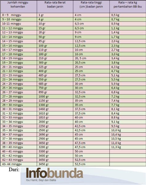 Satu minggu atau satu pekan terdiri dari tujuh hari. Tinggi fundus 16cm saat kehamilan 25w. Normal gk sih ...