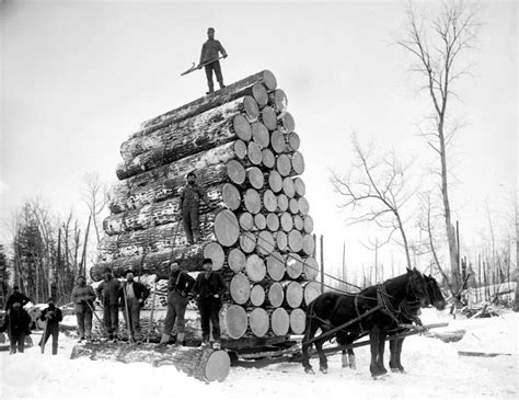 Michigan Loggers Pose Alongside Their World Record Haul A Load Of More