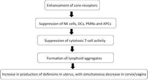 frontiers localized and systemic immune response in human reproductive tract