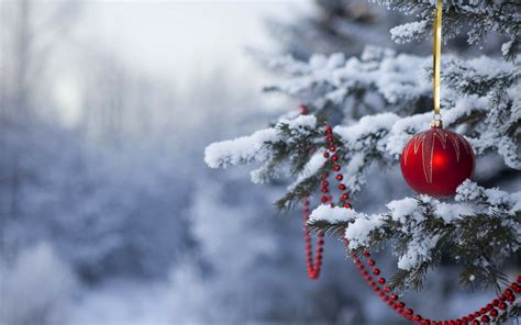 Christmas Winter Backgrounds 51 Pictures