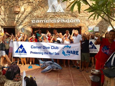 Camel dive club & hotel. Shark Week at Camel Dive Club - PADI Pros