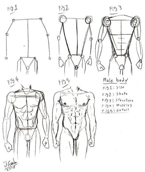 Proceso de realización del cuerpo humano masculino Cuerpo humano