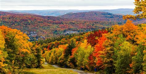 Best Places To See Beautiful Fall Foliage In Quebec Over The Long Weekend Listed