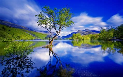 Beauty Forest Lake Landscape Mountain Nature River Tree Green Tree In