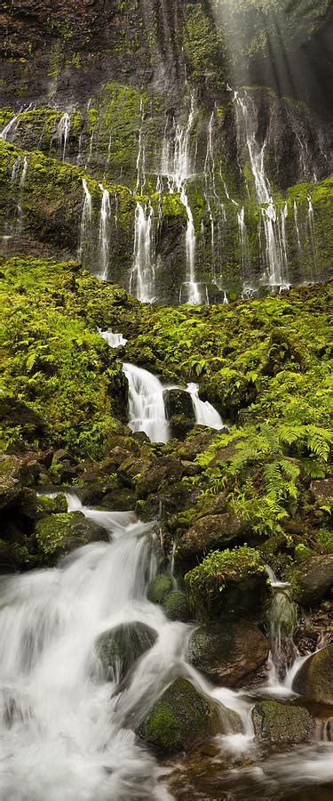 Weeping Wall Kauai Rainforest Waterfall Photograph By Sun Gallery