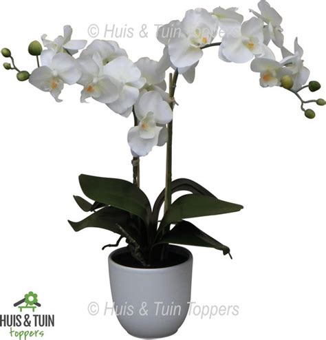 Htt Decorations Kunstplant Orchidee Phalaenopsis Creme Met Sierpot