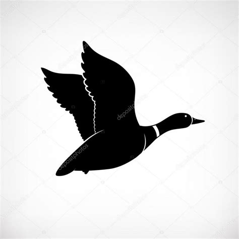 Flying Duck Vector At Getdrawings Free Download