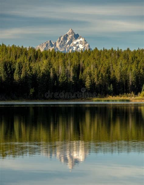 The Grand Teton Peaks Over A Forest Of Green Trees Beyond A Placid Lake