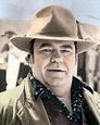 HOYT AXTON COUNTRY WESTERN SINGER SONGWRITER 8x10" HAND COLOR TINTED ...