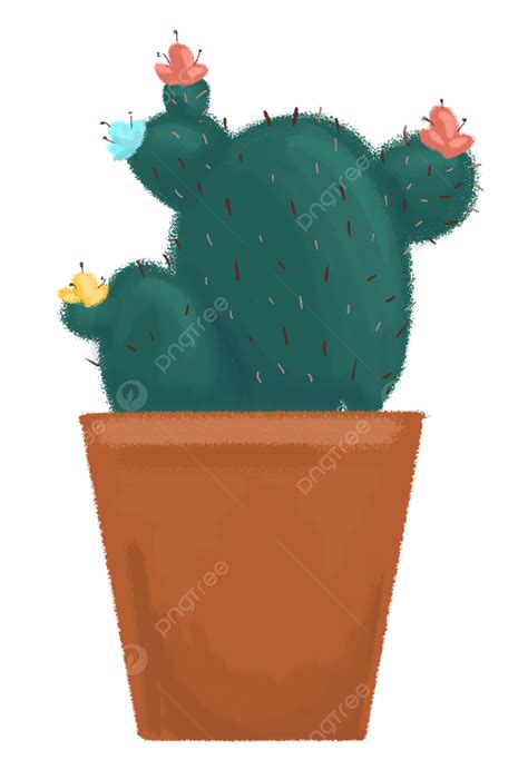 Maceta De Cactus PNG , Cactus, Planta, Plantas En Macetas PNG y PSD