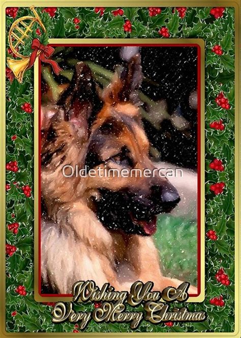 Long Haired German Shepherd Dog Christmas Greeting Cards By
