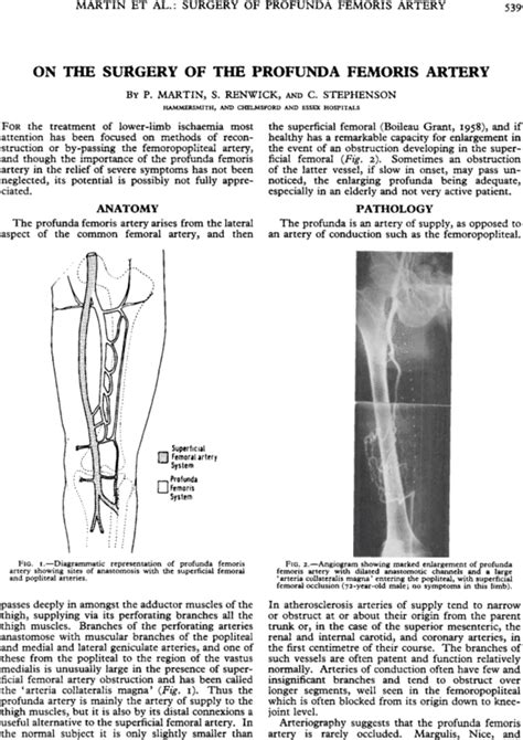 On The Surgery Of The Profunda Femoris Artery Martin 1968 Bjs