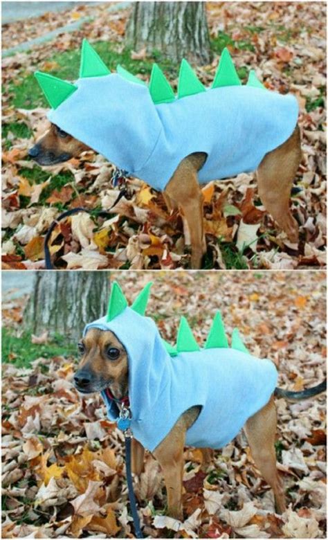 These 24 Halloween Pet Costumes May Just Be Better Than Your Own Pet