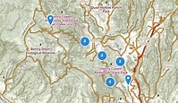 Best Trails in Henry Cowell Redwoods State Park | AllTrails.com