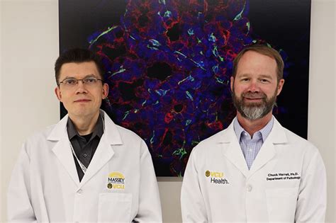 Massey Scientists Earn Federal Grant To Address Breast Cancer Vcu