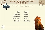 +100 nombres de GATOS FAMOSOS - ¡Ideas originales que no conocías!