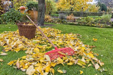 Fall Leaves For Your Garden Kellogg Garden Products