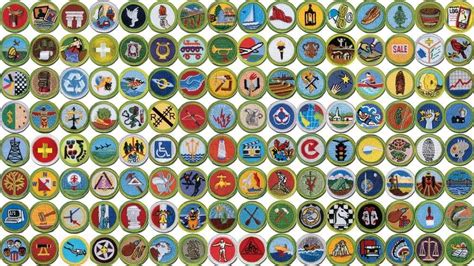 In Photos Scout Merit Badges You Can Earn
