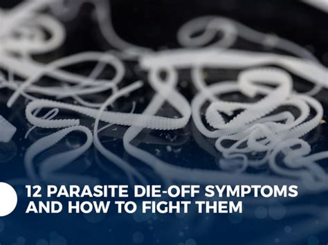 12 Parasite Die Off Symptoms And How To Fight Them Thrive With