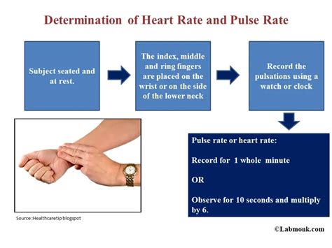 What Is Pulse Rate