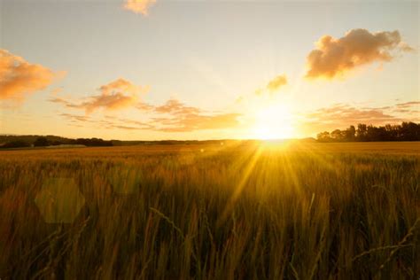 Sunrise Stock Photos Pictures And Royalty Free Images Istock