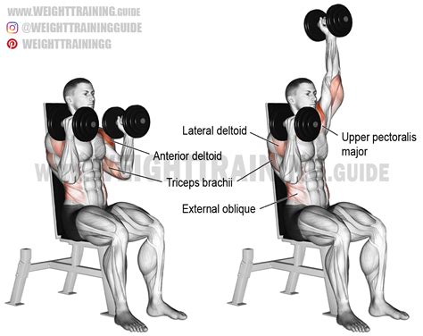 Seated Elbows In Alternating Dumbbell Overhead Press Exercise Instruction