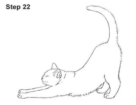 Draw A Tabby Cat Stretching 22 In 2020 Cat Stretching Cat Doodle Simple Cat Drawing
