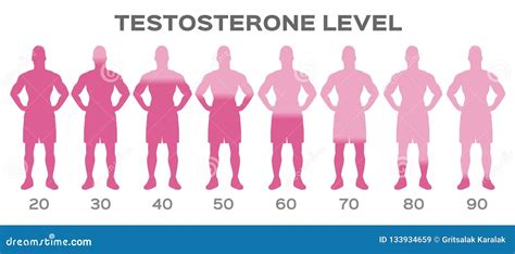 Testosterone Hormone Level Man Stock Vector Illustration Of