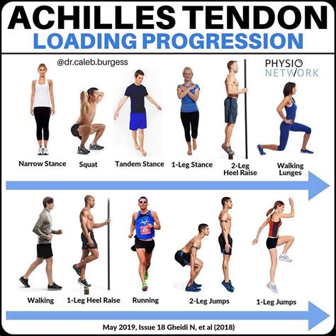 Achilles Tendon Loading Progressions Physio Network