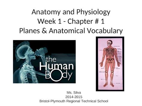 Ppt Anatomy And Physiology Week 1 Chapter 1 Planes And Anatomical